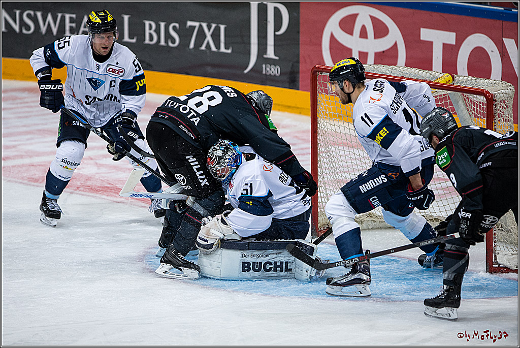 Koelner Haie - ERC Ingolstadt, 23.10.2016